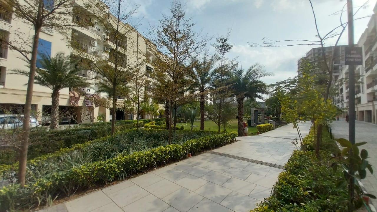Exterior Landscape